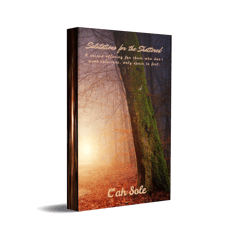 Salutations for the Shattered ebook cover by C'ah Sole with overcast forest
