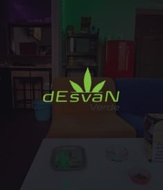  Interior de club cannábico El Desván Verde con logotipo y mobiliario lounge