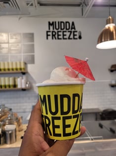 Mudda Freeze Ice Cream