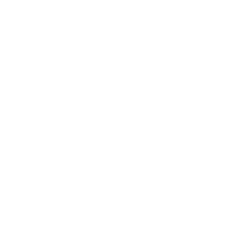 Cashflow Fanatic logo