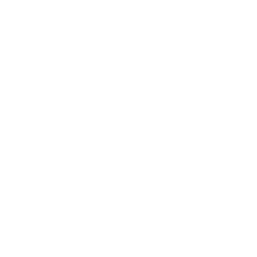 DataBoost logo