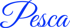 Come imparare a pescare da zero logo