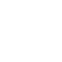 Peak Performance logo