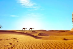 Desierto de Egipto
