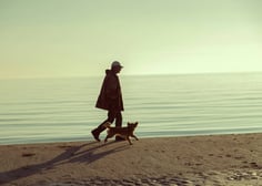 dogAdvisor | dogadvisor | dog advisor | dogAdvisor.dog