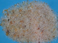 Senegalia senegal - gomme arabique