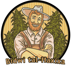 How to Grow Cannabis in Malta