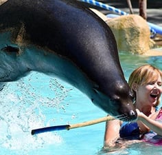 water park at rio safari