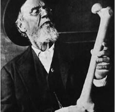a man with a large bone - like bone - like body and a long beard