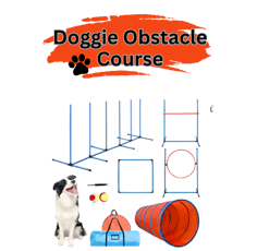 a  dog on a obstacle course
