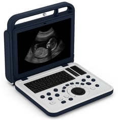 Veterinary Ultrasound in Dubai / UAE