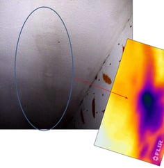 CJR AUDITS pathologie humide