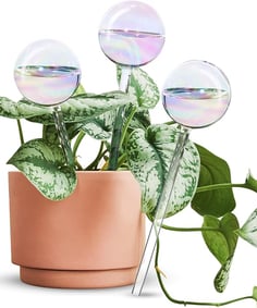 [3PCS] Light Iridescent Rainbow Gradient Color Clear Glass Self-Watering System Spikes, Automatic Pl