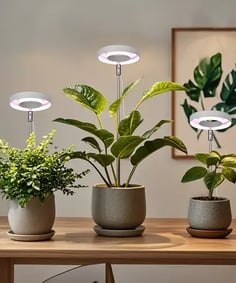 Grow Lights for Indoor Plants Full Spectrum, 80 LEDs Plant Light for Indoor Plants, Height Adjustabl