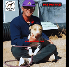 PAT PATRICK AMERICAN PIT BULL TERRIER HISTORY