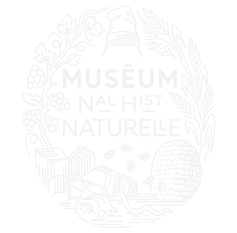 Logo du Muséum national d'Histoire naturelle de Paris