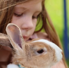 Willow and bubba the dutch rabbit