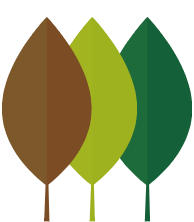 land_culture_tress_transformation