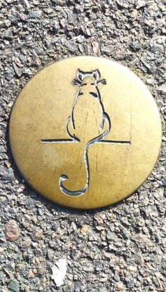 Dole - parcours du chat perché