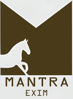 Mantra Exim logo