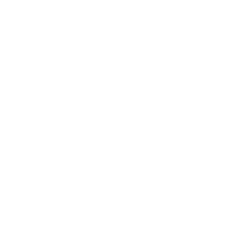 THE RIGHT MOVEL.I. logo