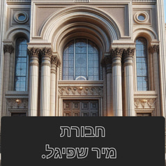 מיר שפיגל logo