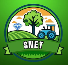 SNET International logo