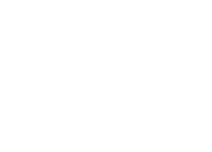 LeSafety logo