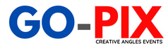 Go-pix logo