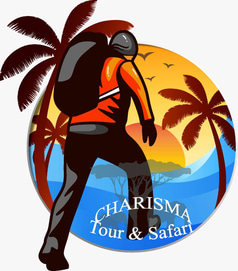Charisma-Experience logo