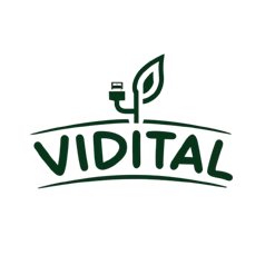 VIDITAL logo