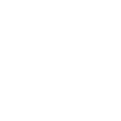 Languache logo