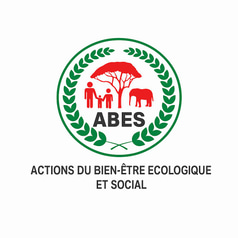ABES ONG logo