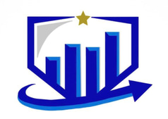 Capital Solutions Advisors logo