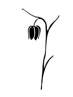 Cricklade Design Studio logo