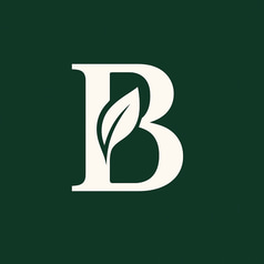 BDL  logo