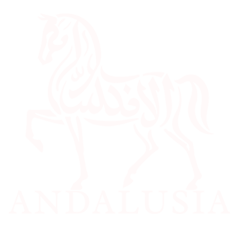 Andalusia wear logo
