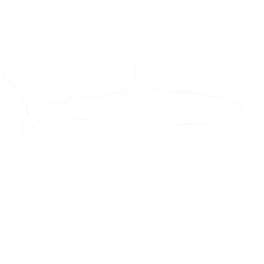 Shark Education Club logo