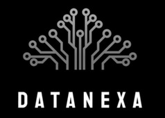 DataNexa logo