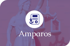 Amparo Legal