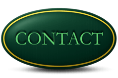 a green contact button for a tampa bay commercial real state website