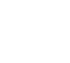 rodape logo ton