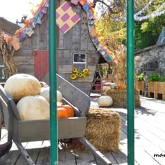 Halloween, Petit Champlain, Québec.