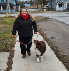 Image of person walking a dog.