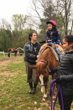 Health Vibes - Therapeutic riding lesson to improve physical, mental, and emotional health