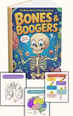 Human Anatomy Book
