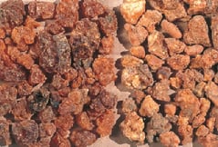 Commiphora myrrha - myrrhe