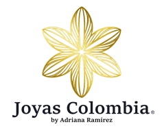 diseñadores web en pereira