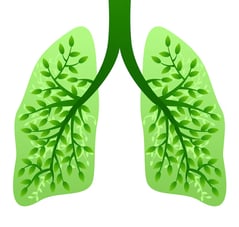 pulmones sanos por dejar de fumar