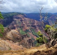 Waimea canyon Kauai